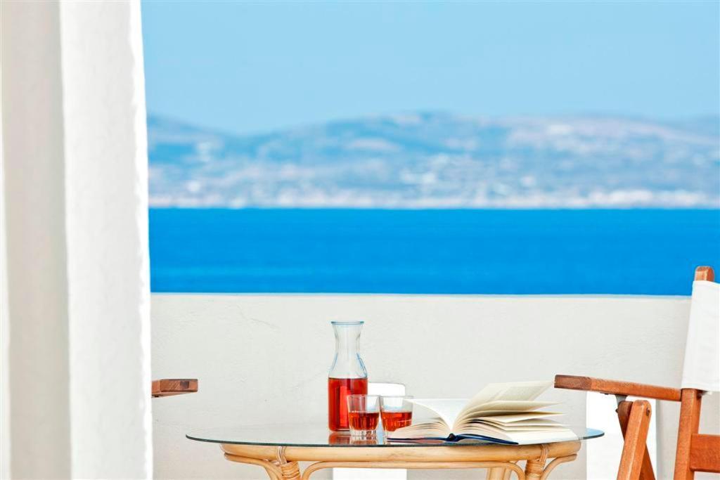 Pirgos Stelida Hotel 객실 사진
